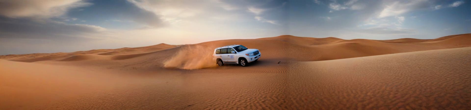 Dubai Desert Safari