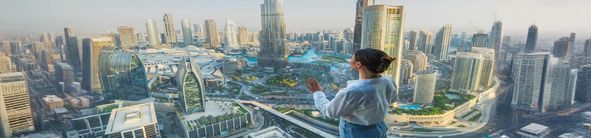 Sky View Observatory
