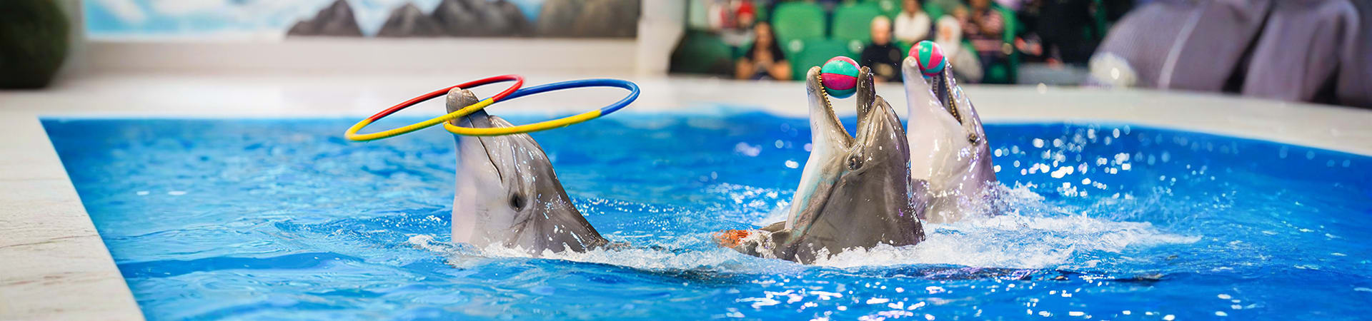Dubai Dolphinarium