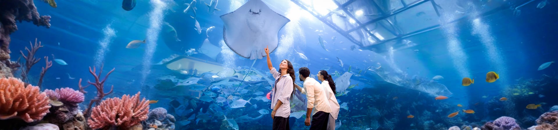 Dubai Aquarium and Underwater Zoo
