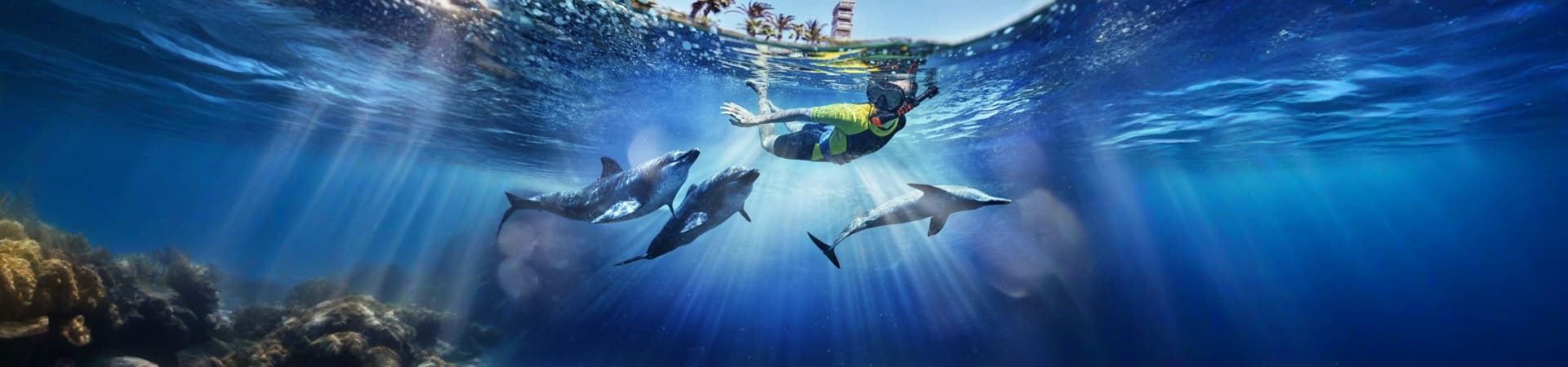 Dolphin Bay Atlantis