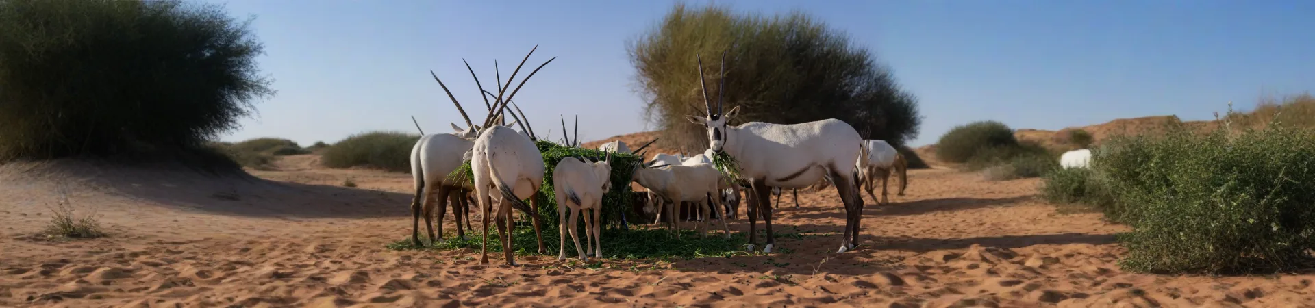 Slide 9