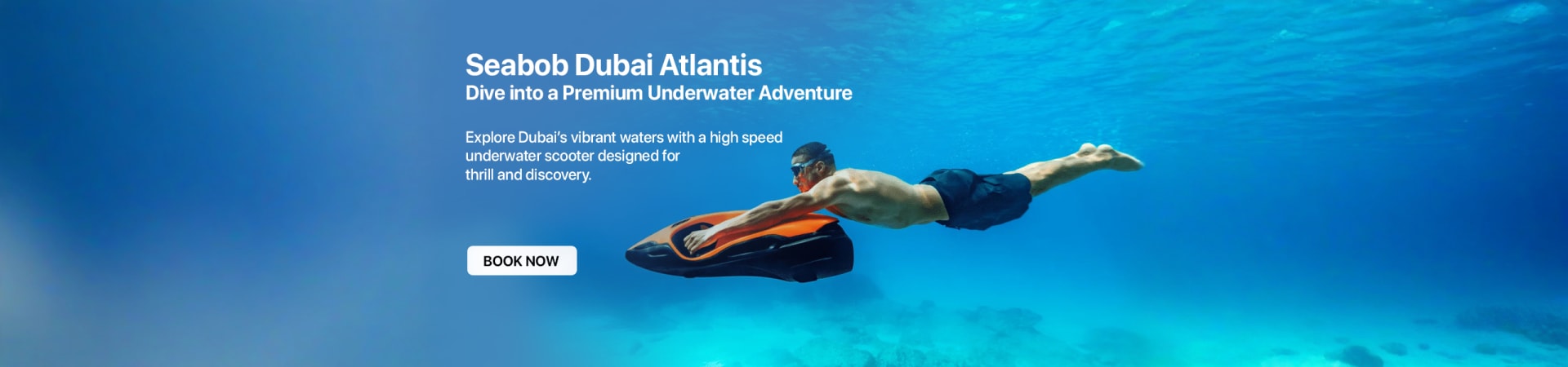 Sea Bob Dubai 30min