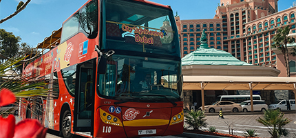 City Sightseeing Tour
