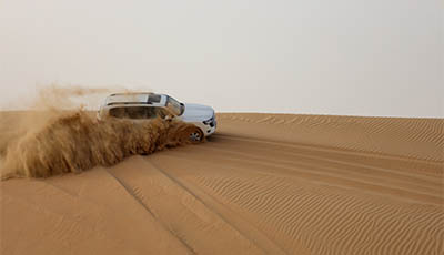 Morning Desert Safari