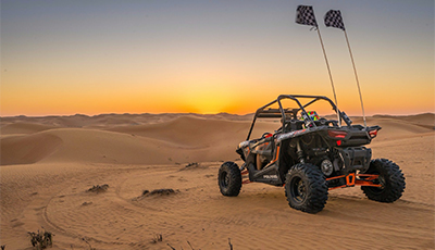 Desert Buggy Driving Experience